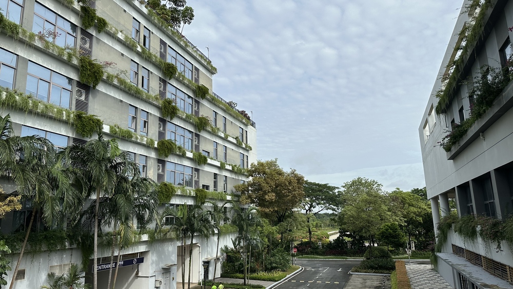 森林城市国际学校